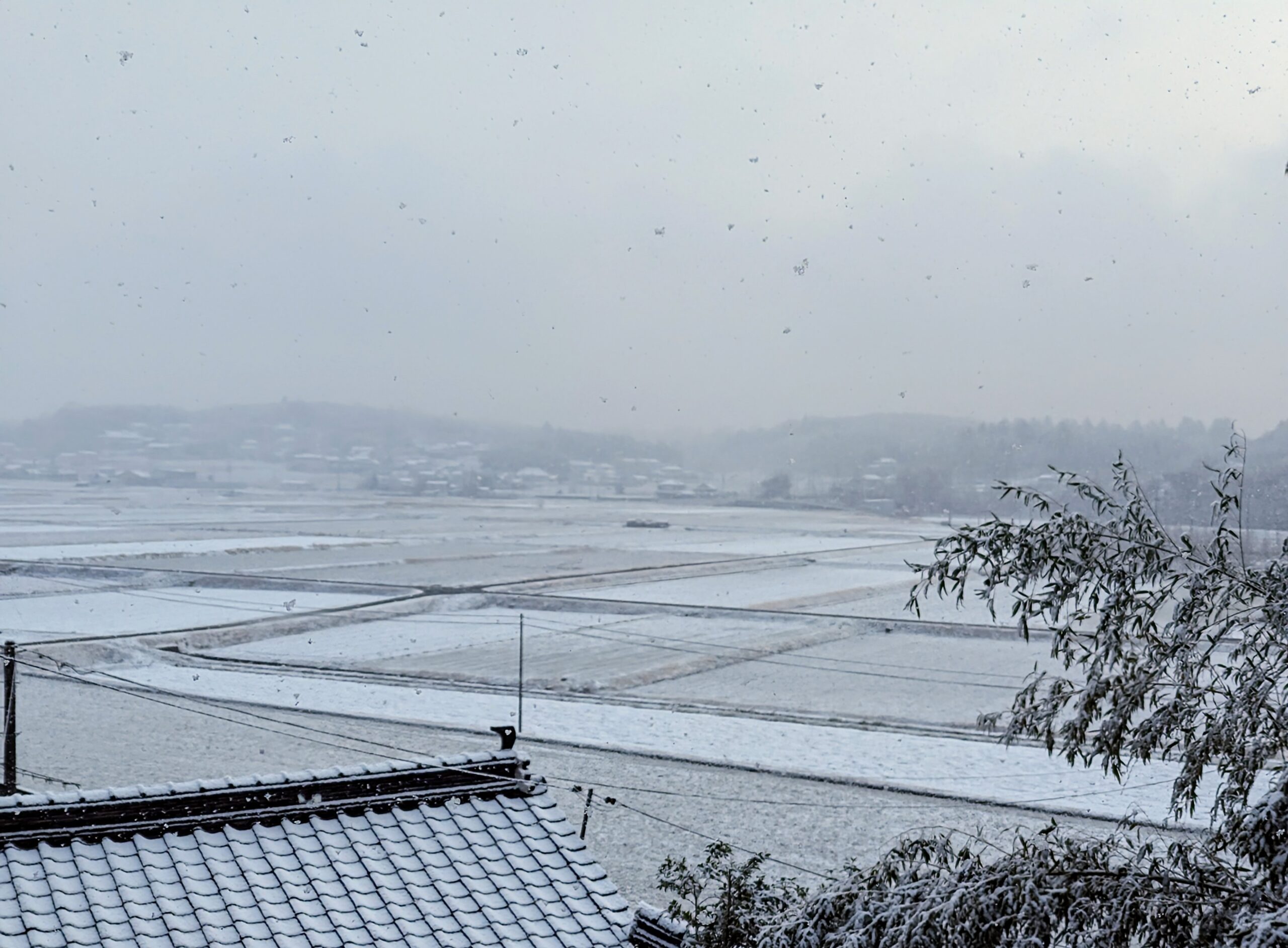 3月の雪