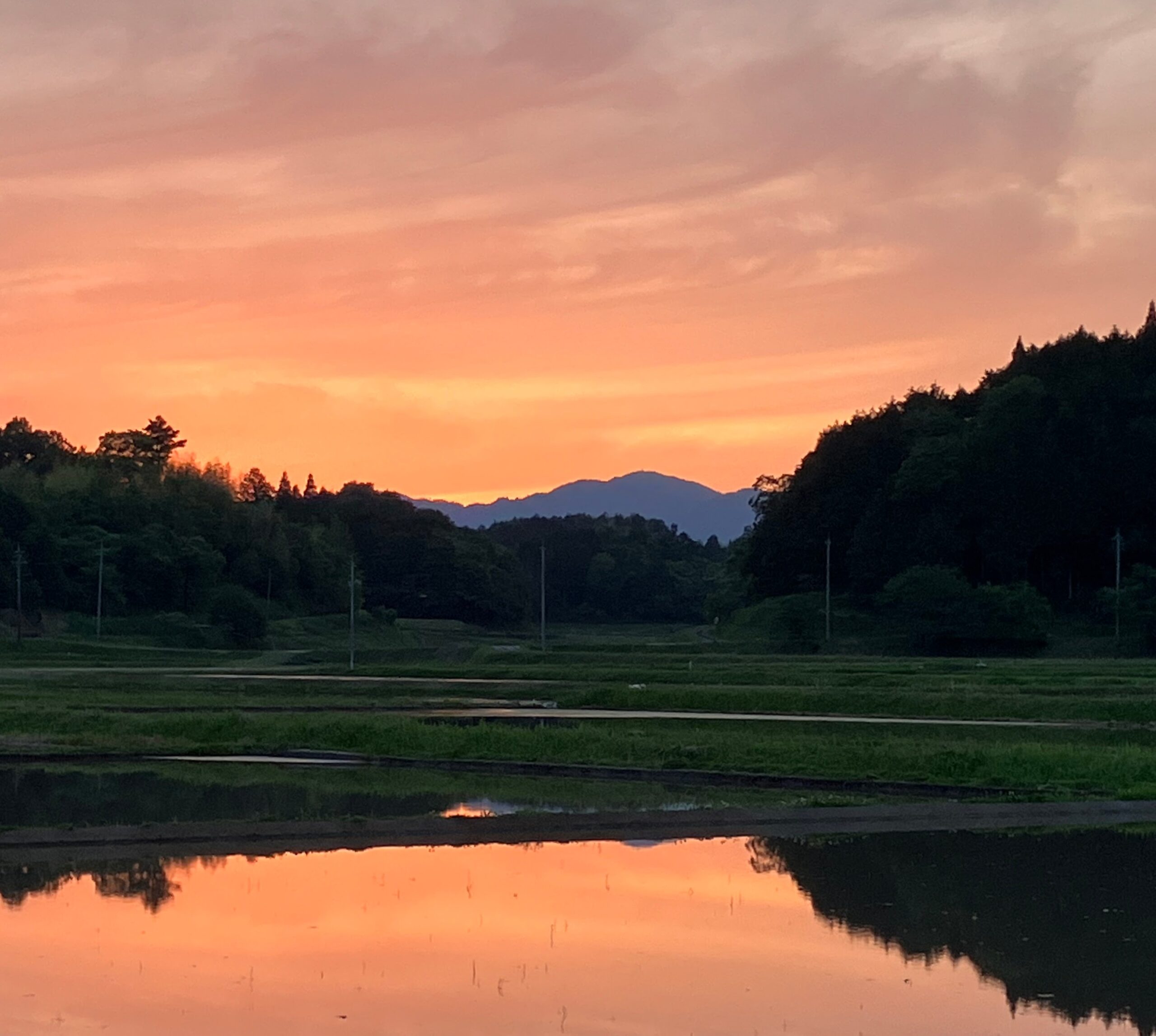 田んぼと優に　価値観の変化　人生の転換点　岡山に住む