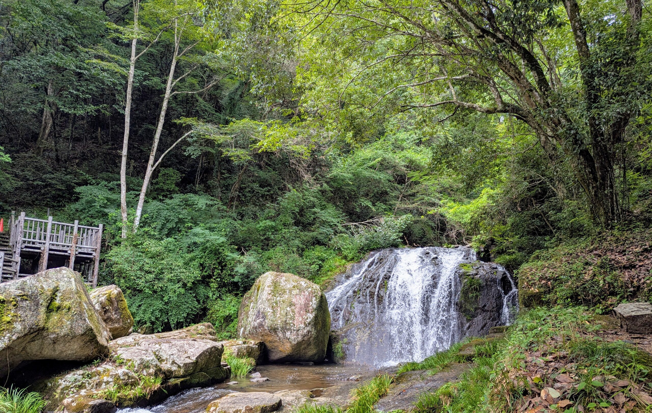 鳴滝　岡山　松尾芭蕉　税理士