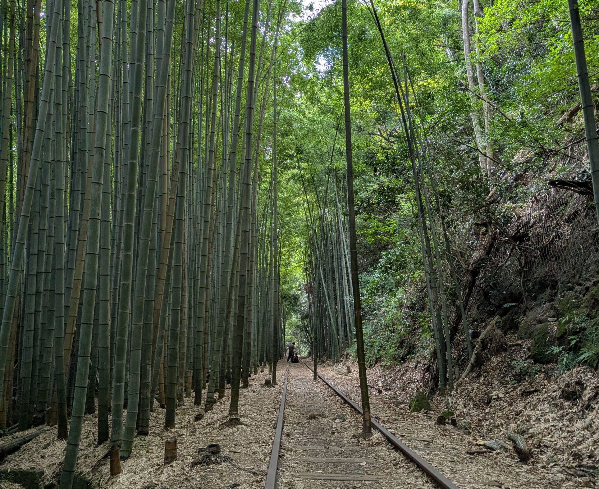 旧国鉄倉吉線廃線跡　中国地方の税理士　廃線跡　